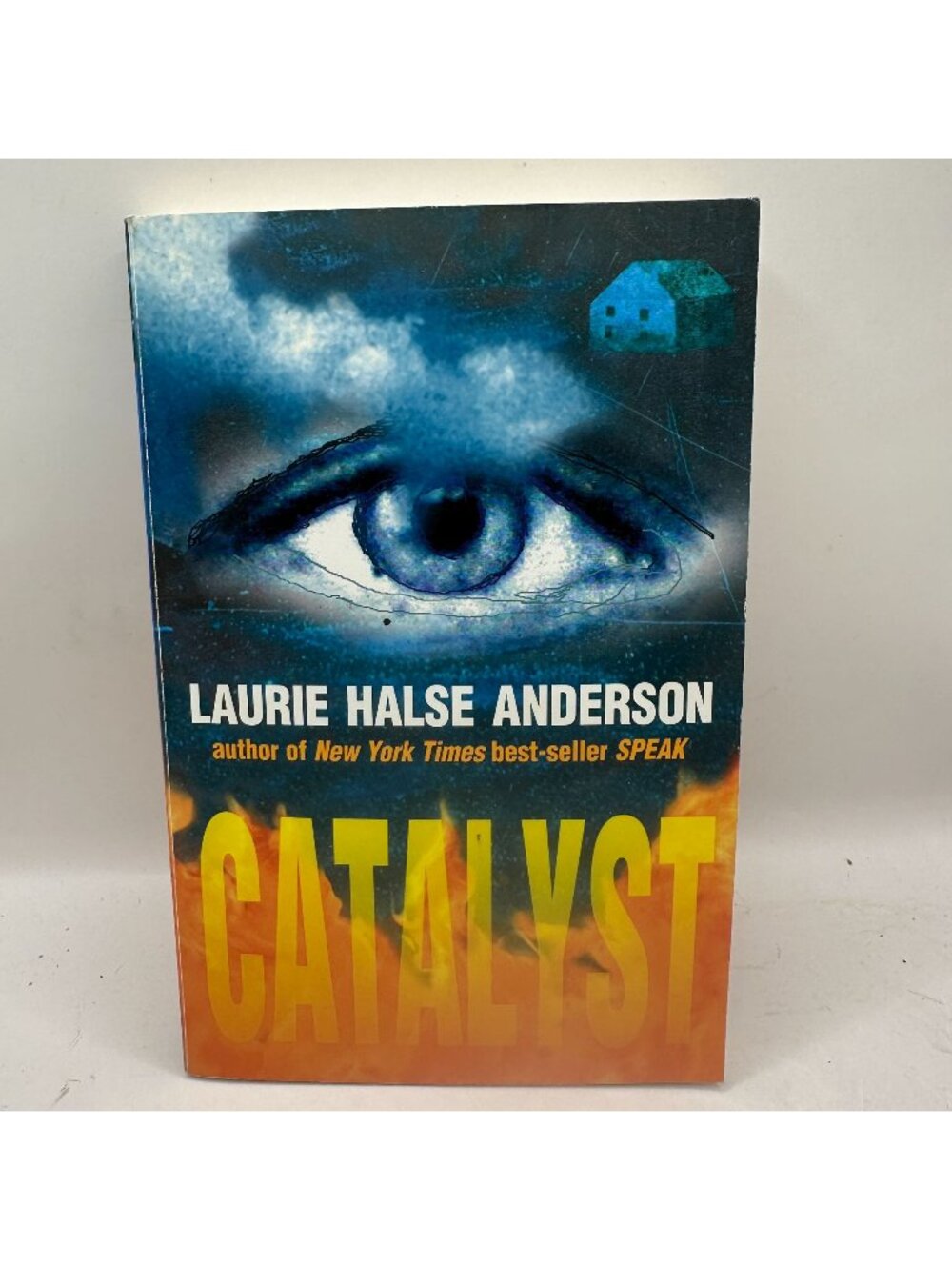 Catalyst Laurie Halse Anderson 2003 Paperback Young Adult Fiction Pre-Owned